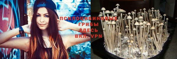 ECSTASY Арсеньев