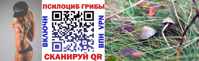 купить наркоту  Боготол  Галлюциногенные грибы ЛСД 
